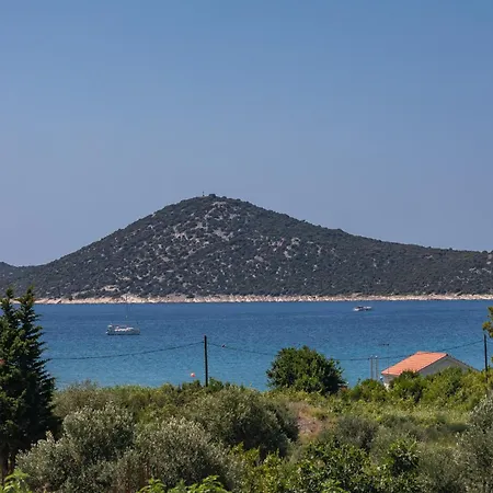 New Denis Vodice